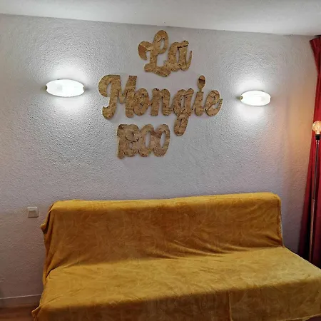4 Pers. Avec Animaux Admis, Proche Pistes - Fr-1-404-270 Apartment *